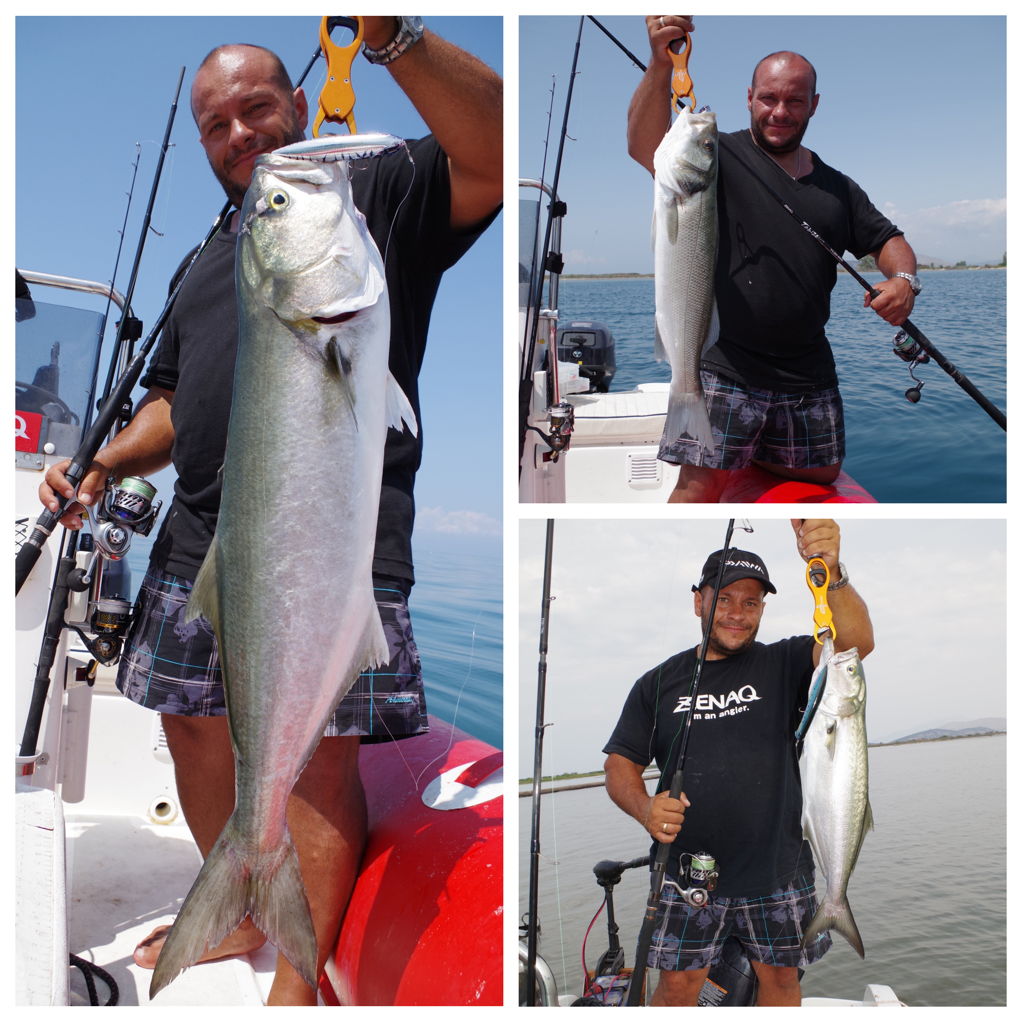 ZENAQ TOBIZO TC80-50G – imanangler.com