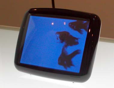 News：っぽいかもしれない：気持ちに±0