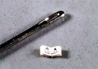 News：速報：0.95ミリの豆本がギネスに 凸版印刷