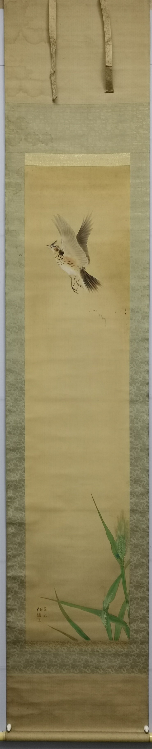 福田翠光 「紅梅」掛軸 日本画 銘あり 二重箱 中古 21.01.10-3. 福田翠