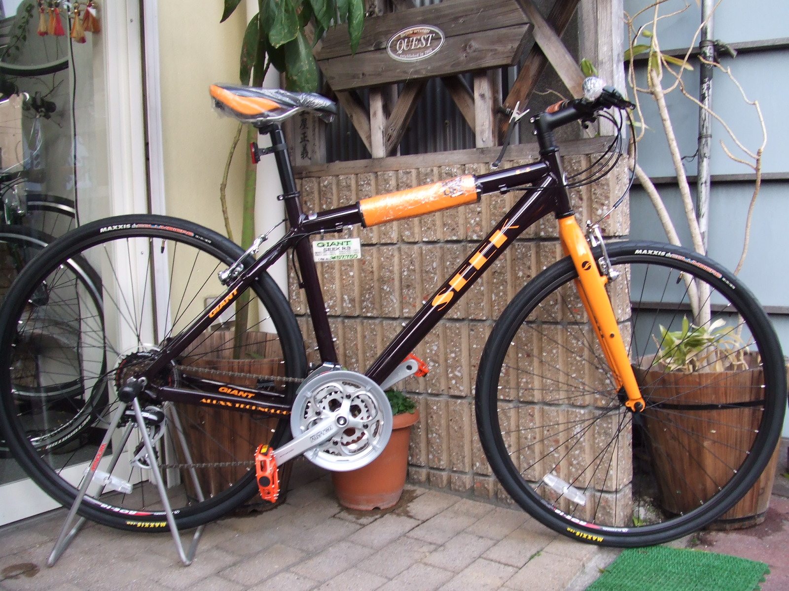 GIANT SEEK | QUEST-PRESS