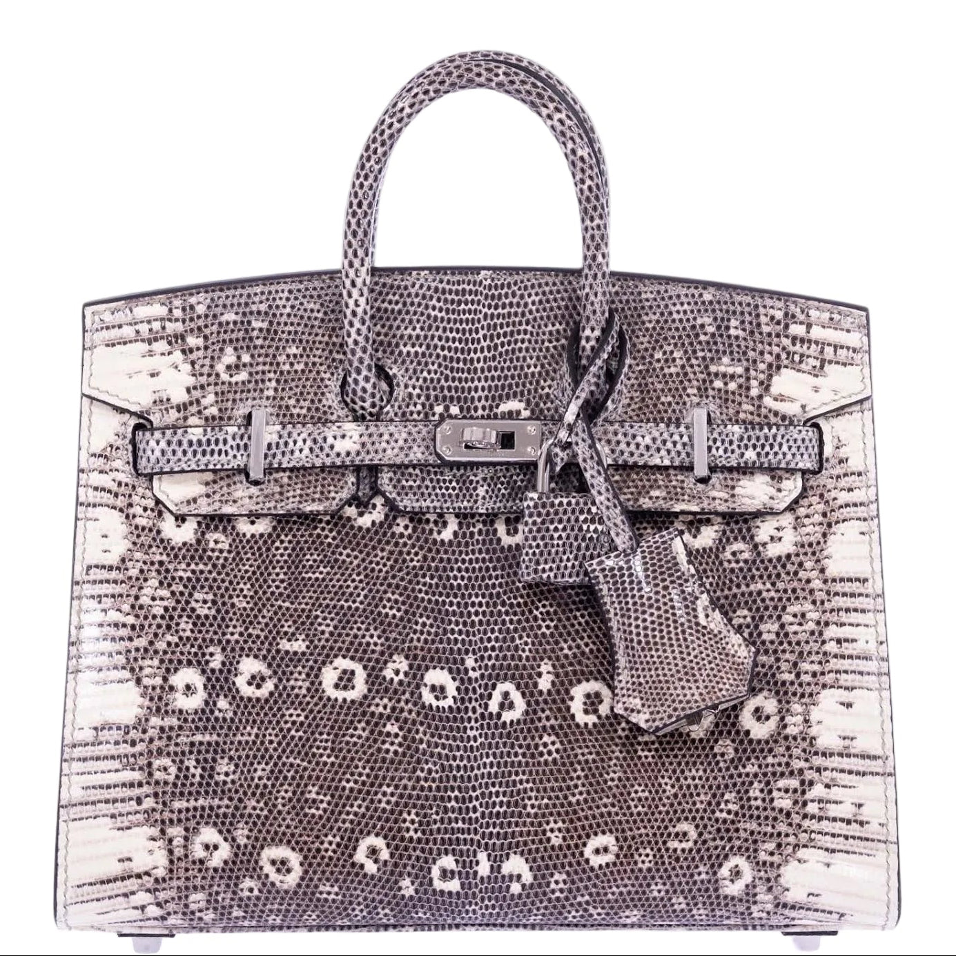Hermès Birkin 20 Sellier Ombré Varanus Salvator Lizard Palladium