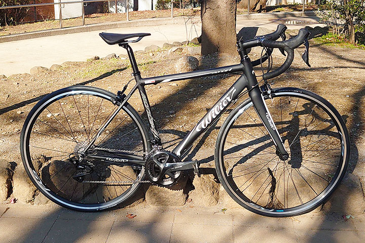 Wiliertriestina monte4 ウィリエールトリエスティーナ・モンテ