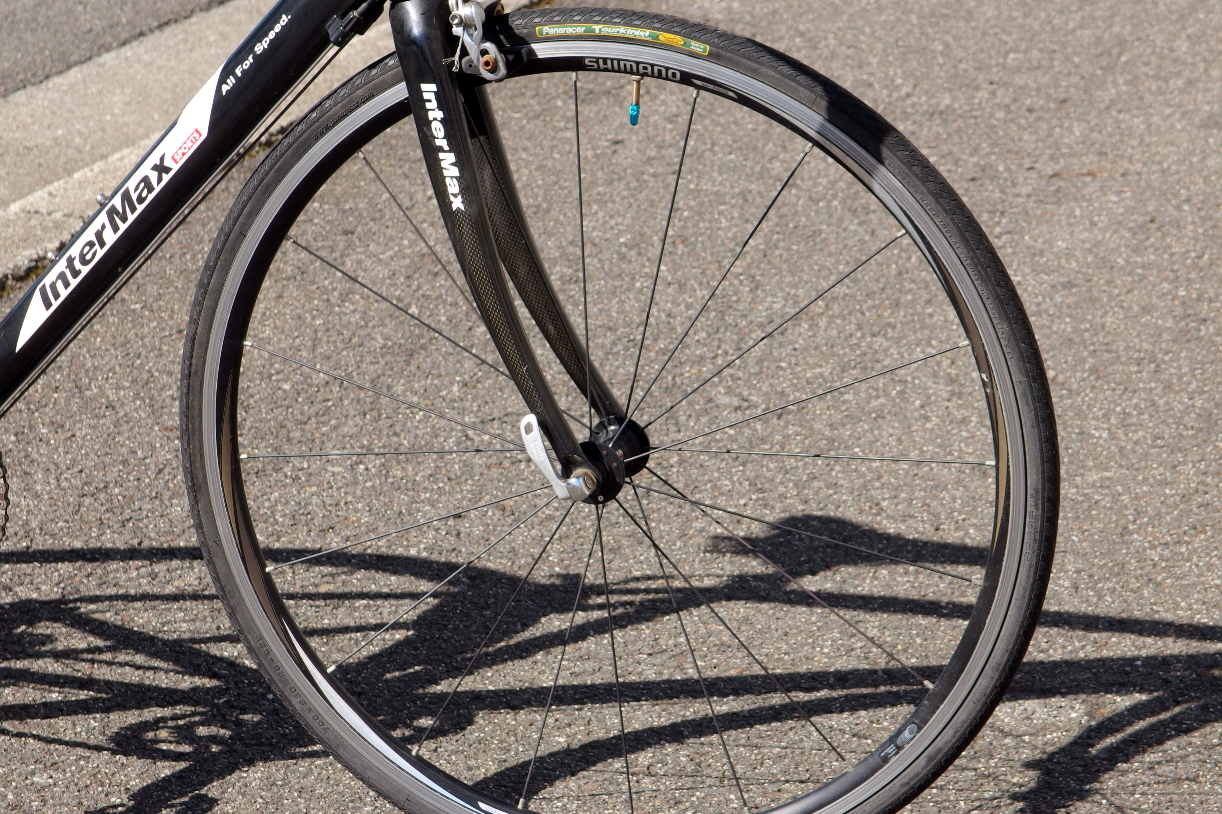 Intermax/インターマックス Rays【商品紹介・中古買取入荷情報