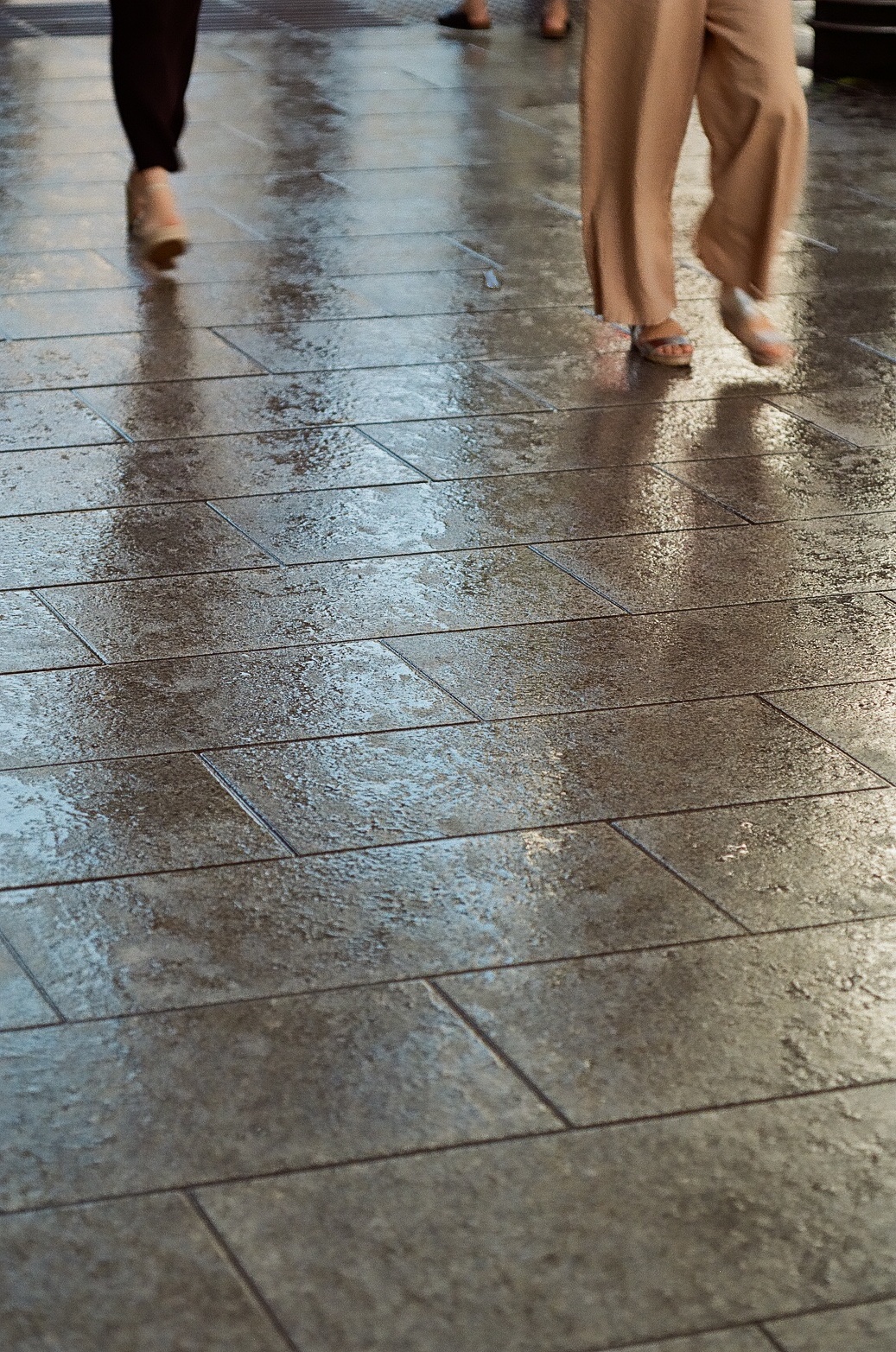 PMC AUTO MACRO 90mm / f2.8 (PANAGOR パナゴール)