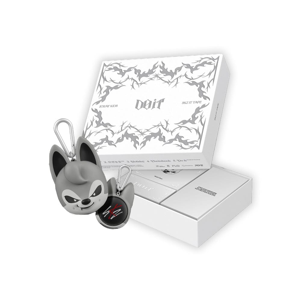 Stray Kids - SKZ IT TAPE DO IT Album ( EVIL SKZOO SPEAKER VER. )