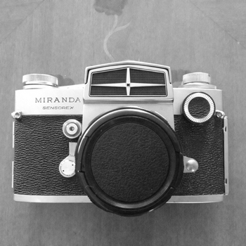 ミランダ センソレックス : 無題の写真