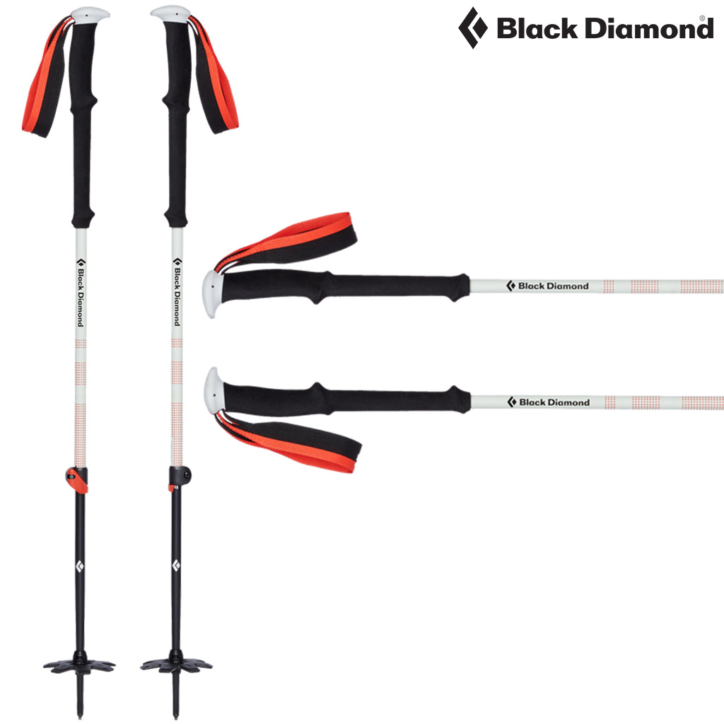 Black Diamond - Expedition 2 Ski Touring Poles – Lockwoods Ski