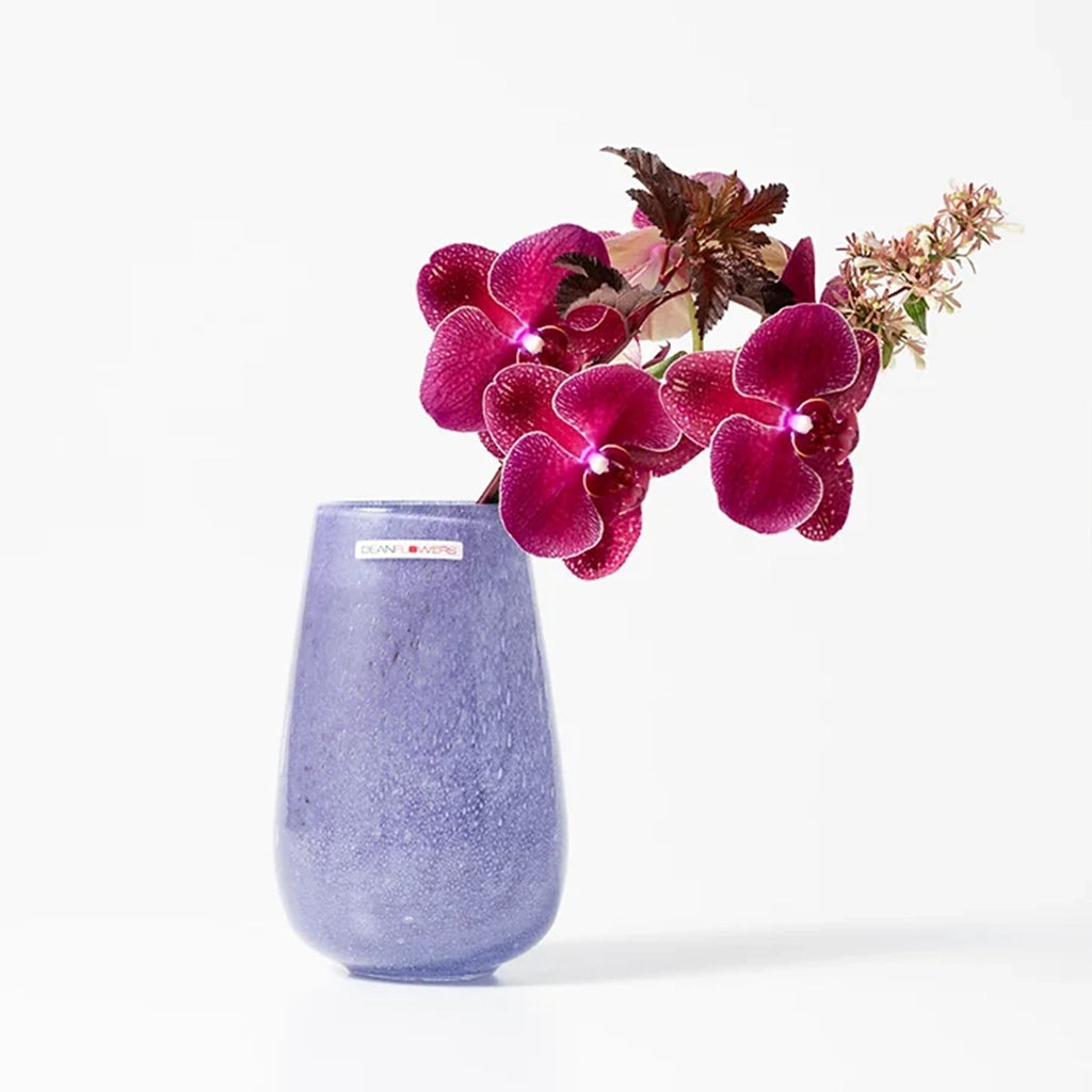 Stromboli XS D7×H16 フラワーベース（ヴェロニカ） ｜Henry Dean