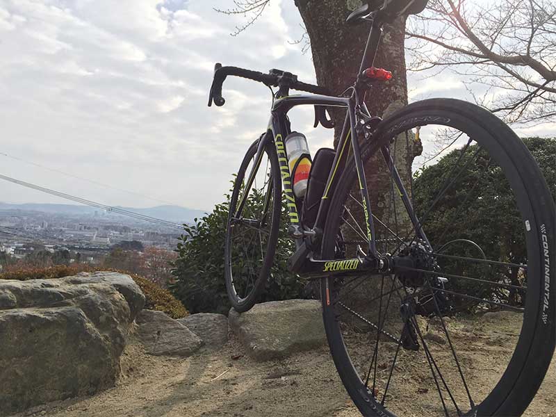 シャマルミレ（Shamal Mille）C17で200km走ったのでインプレ。乗り心地