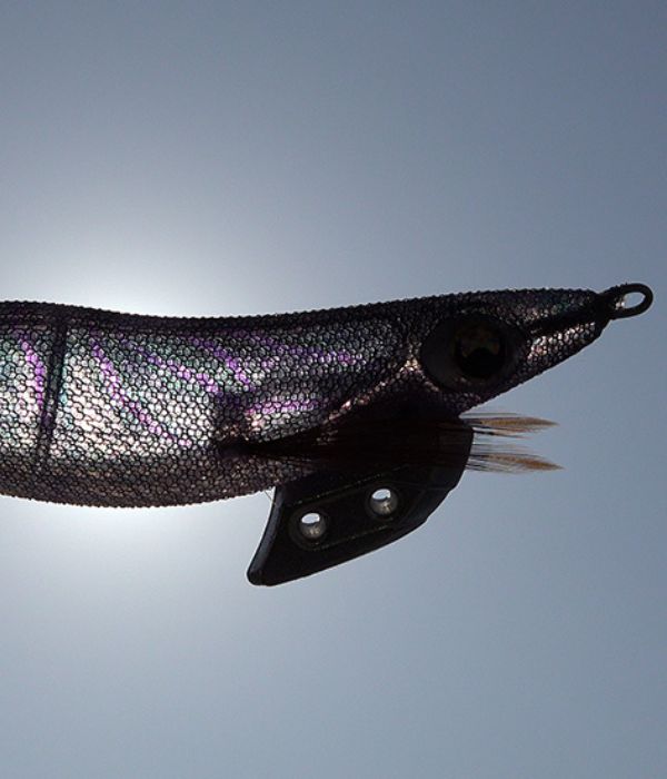 エギ王K10周年記念モデル】数量限定カラーの特徴と評判を徹底解説 |