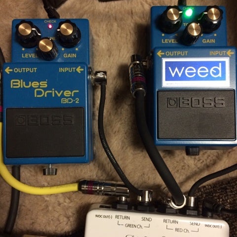 WEED BD-2/SB-24 | ギターと金魚と多肉に囲まれて