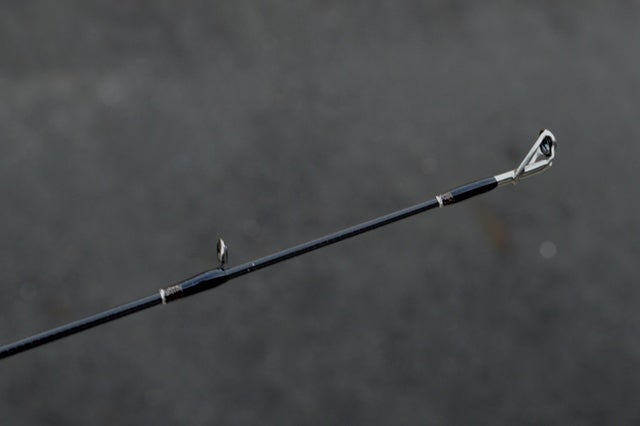 アリヴェール69ベイトダンス（スタンダードガイド仕様） | 琵琶湖