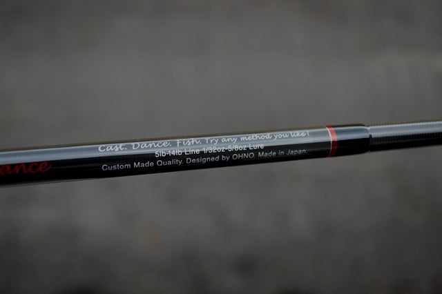 アリヴェール69ベイトダンス（スタンダードガイド仕様） | 琵琶湖