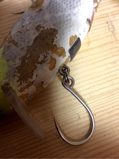 ネコソギウッド | スタジオコンポジットブログ