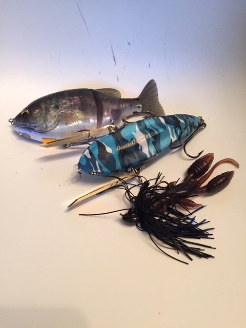 デジーノ レーベン DLT-C71H+R2S | はるかの野池 『ゴンザレス』トレイル