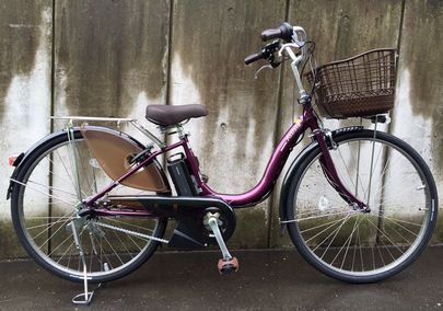 スペシャルなDX！「ブリヂストン・アシスタDXスペシャル（A4DS26