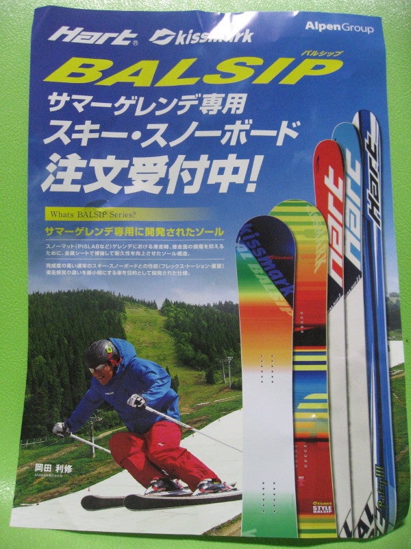 Hart BALSIP-Ⅱ購入計画!! | はせちんの今日の一日