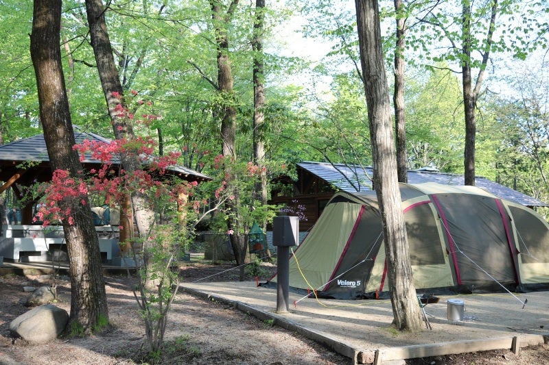 小川キャンパルのヴェレーロ5 | ぺろすけの東京発！ファミリーキャンプ