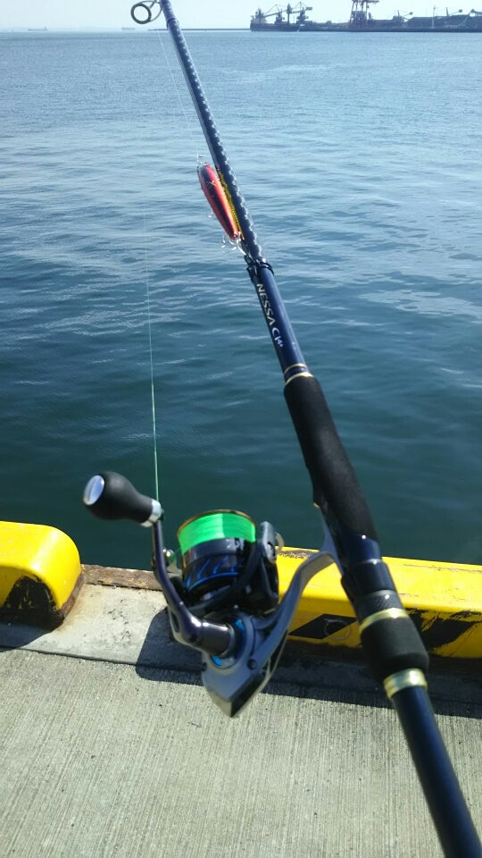 第一印象】ネッサCI4+ S1008MMHをぶん投げてきた【1st