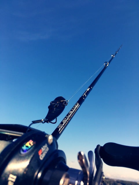 □□□ インスピラーレ コブラGT 座学編 □□□ | umalog