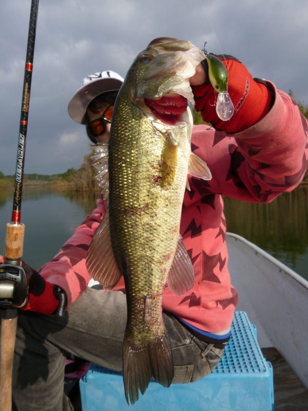 エバーグリーン ヘラクレスHCSC67MHR | ☆Akito Blog☆ Union