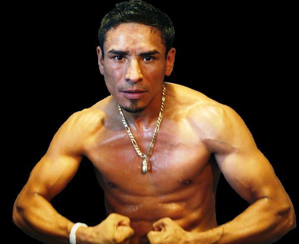 西岡利晃vsラファエル、マルケス 半券チケット 2026年最新】ボクシング