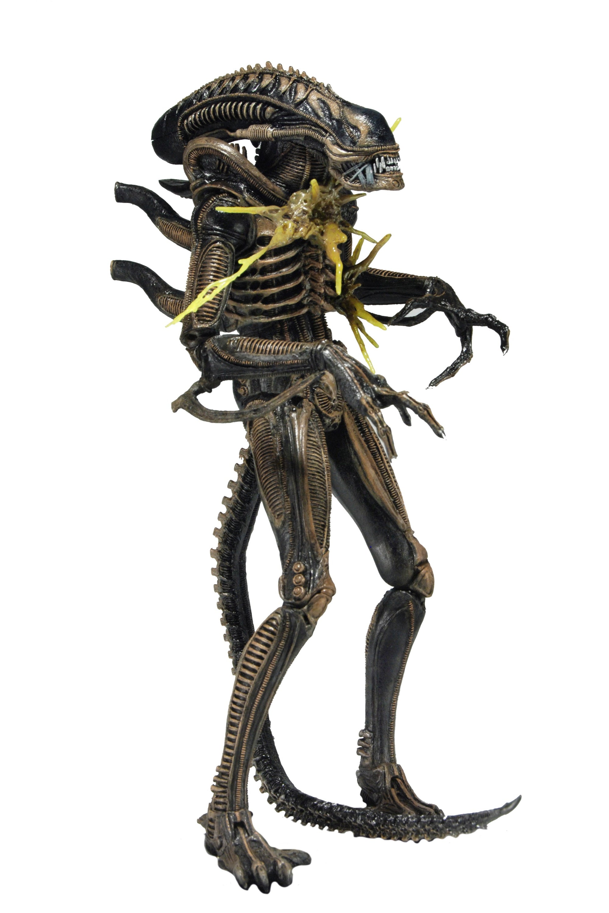 Aliens - Series 12 - Battle Damaged Aliens Warrior 7