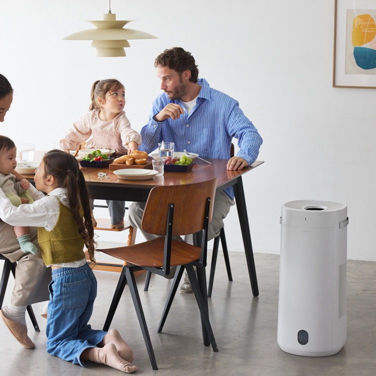 花粉対策・リビング＆玄関】2-in-1 DH3i＆Blue Mini Maxセット