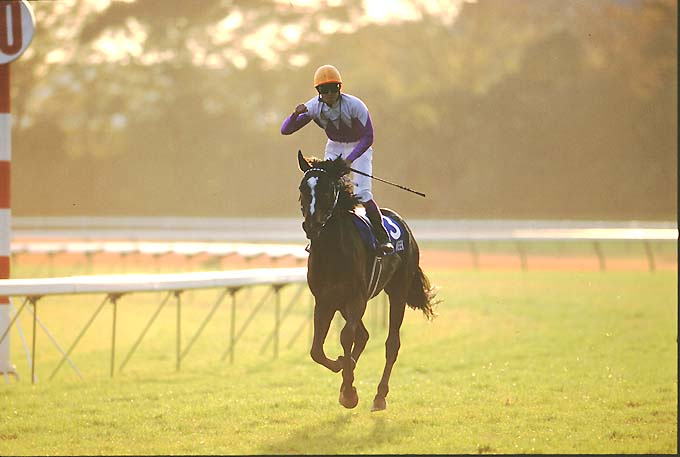 スペシャルウィーク99JC