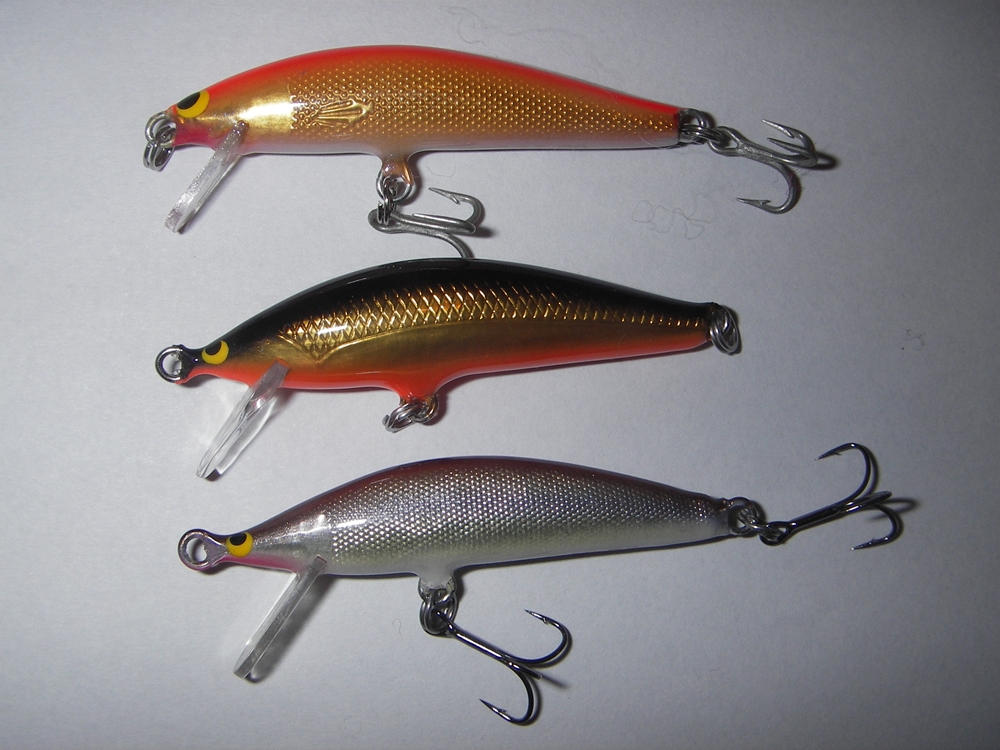 永遠のタイトローリング BALSA50 ブラウニー: saurus jr. talk