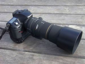 SIGMA APO 135-400mm F4.5-5.6 DG: 買い物とかいろいろ日記