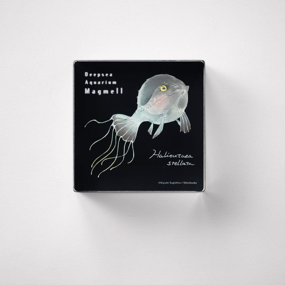 マグメル深海水族館』深海幼魚アクリルブロック（アカグツ） – 新潮