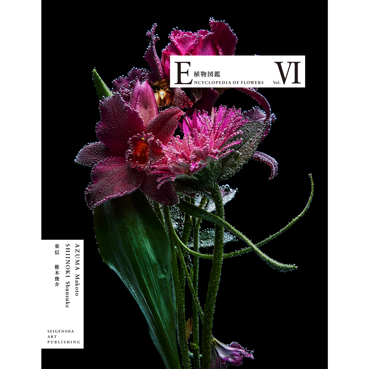 ENCYCLOPEDIA OF FLOWERS Ⅵ 植物図鑑 – 青幻舎オンラインショップ