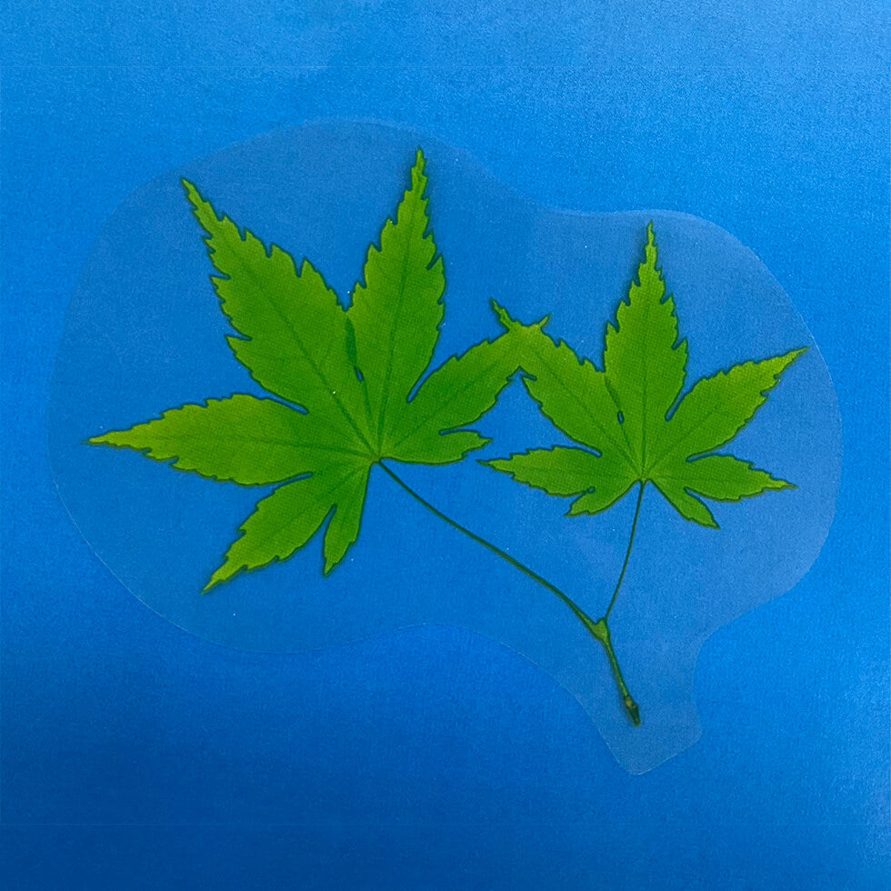 島田昌 新鮮生シート 4109 もみじ緑 丸(1000枚) – 株式会社 島田昌