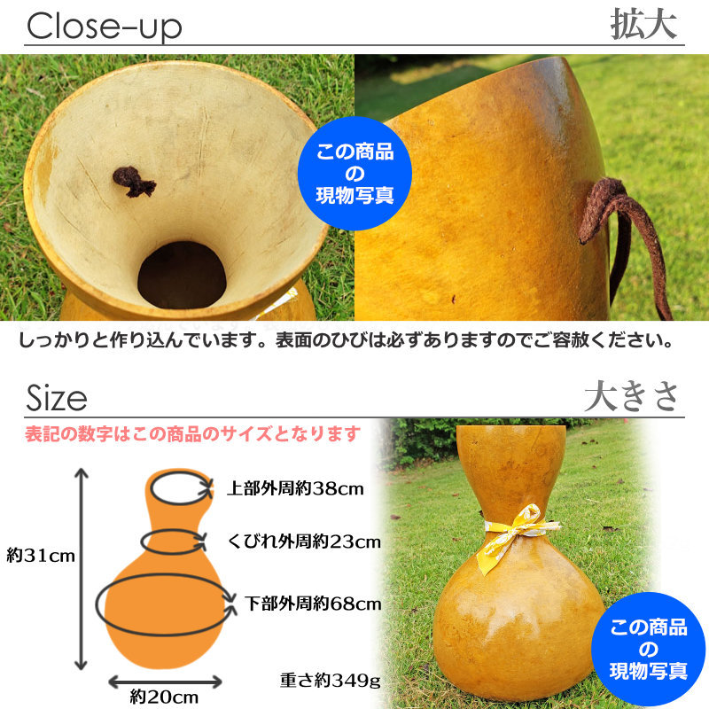 フラダンス楽器｜イプ・ヘケ・オレ ハワイ製 Lサイズ(9インチ) 349gの