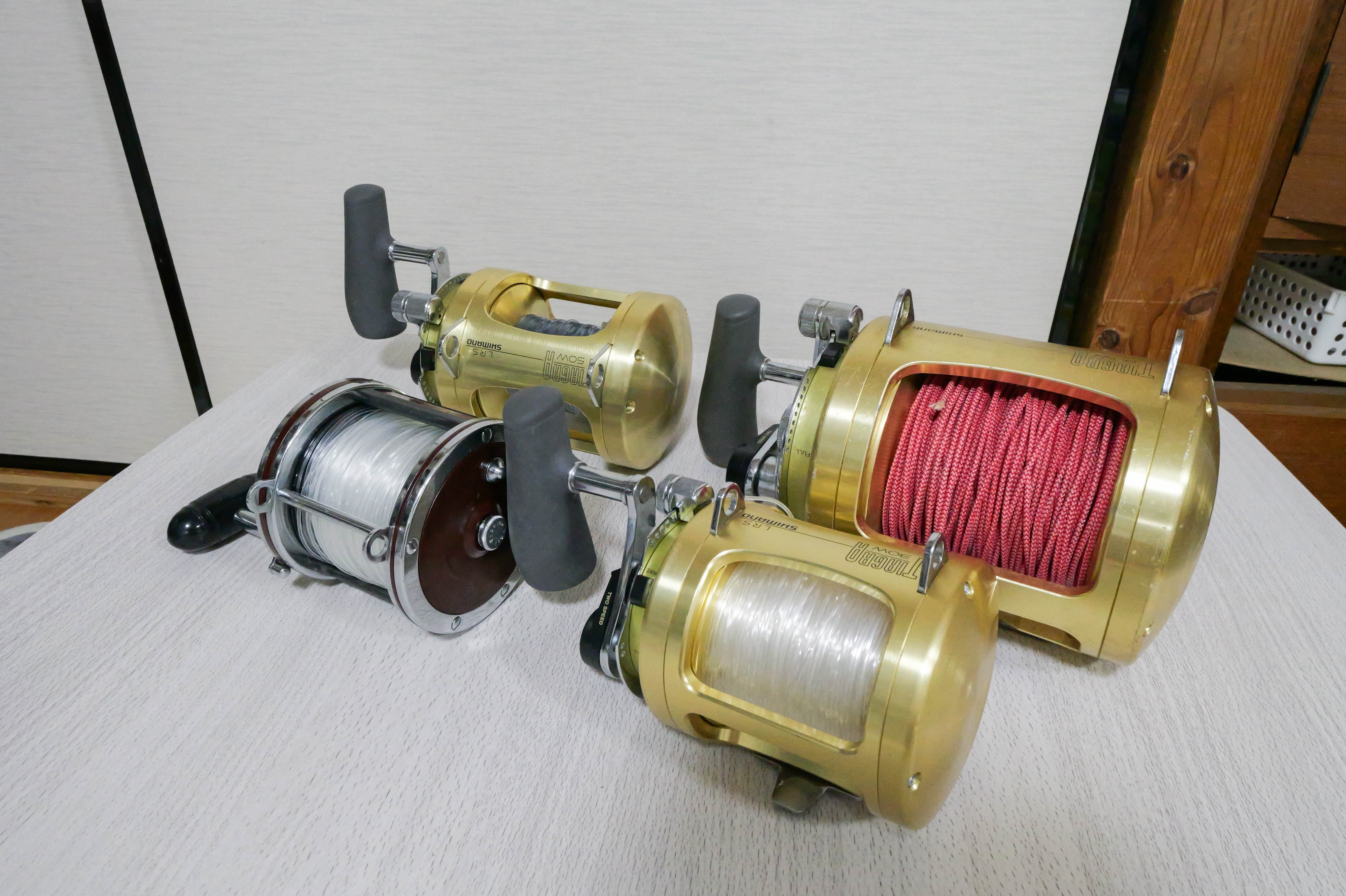 磯】クエ釣りに向いた大型両軸リールとは？各メーカーごとの特性や