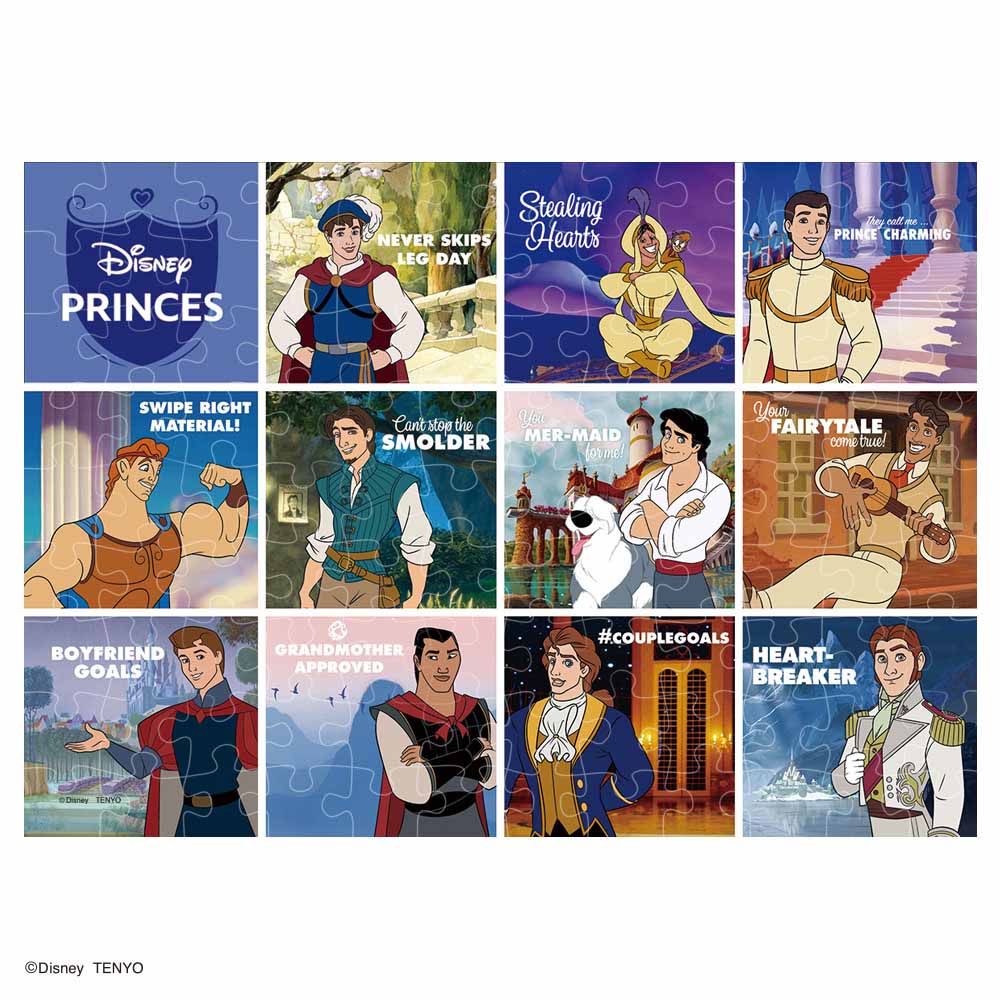 ホログラムペーパー ジグソーパズル 108ピース 「ディズニーの王子さま