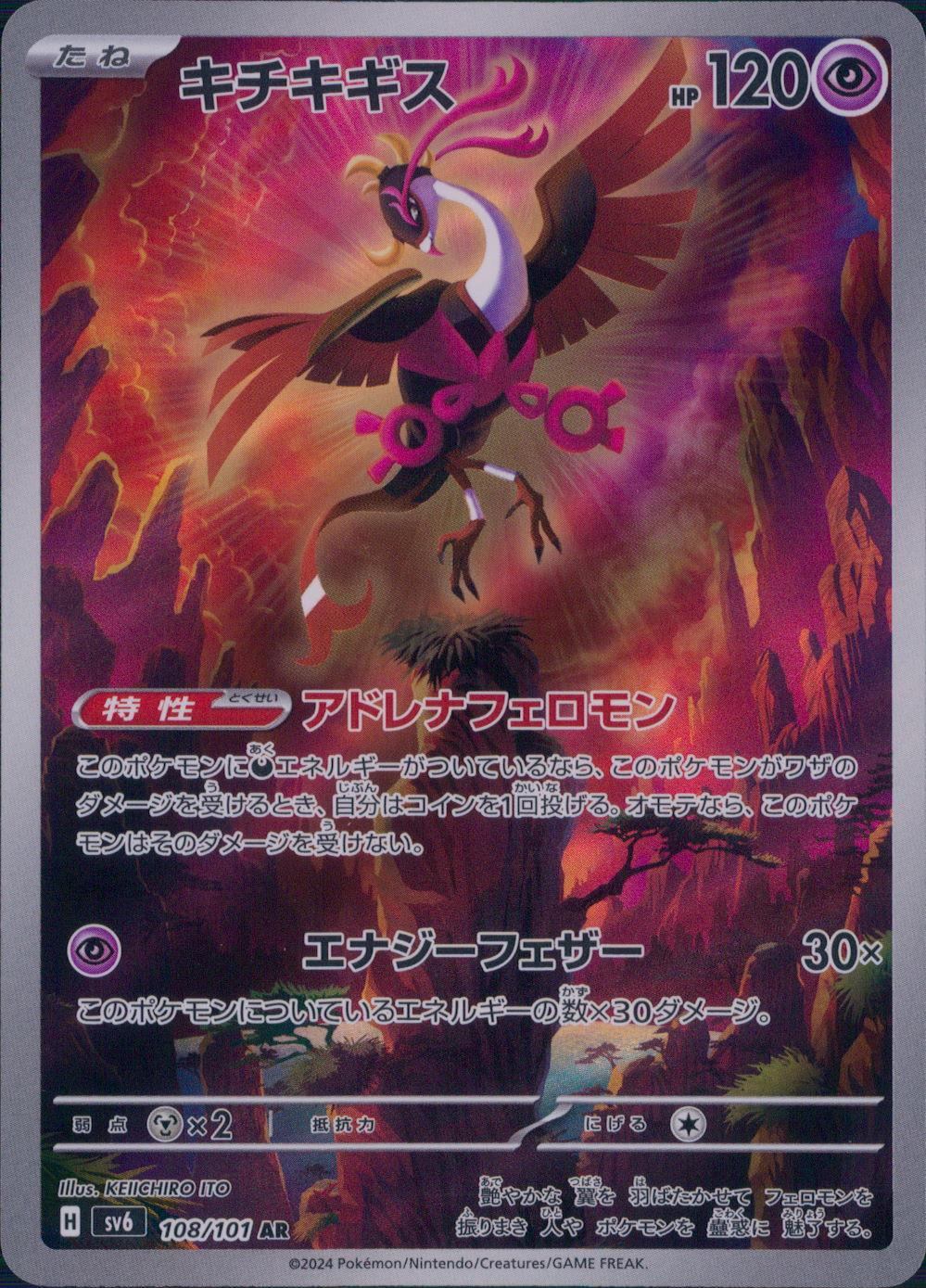 108/101/SV6/B/AR キチキギス