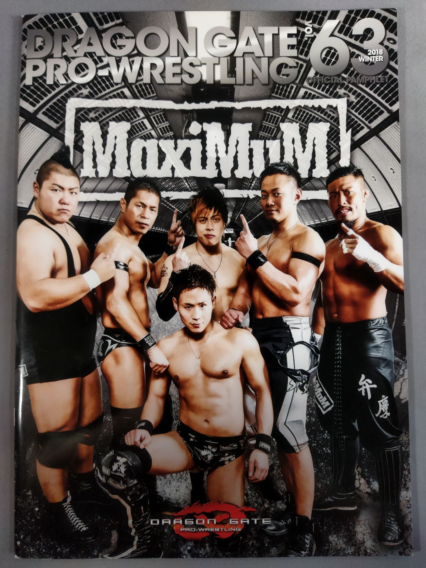 2018ドラゴンゲート オフィシャルパンフレット Vol.63 – 闘道館