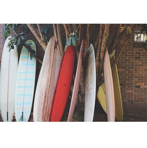 ロング”ソフト”ボードの卒業は【BICナットヤング9.4ft】でした