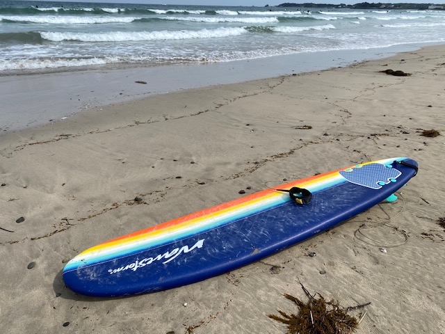コストコの激安スポンジサーフボード【WAVE STORM】を買ってしまった