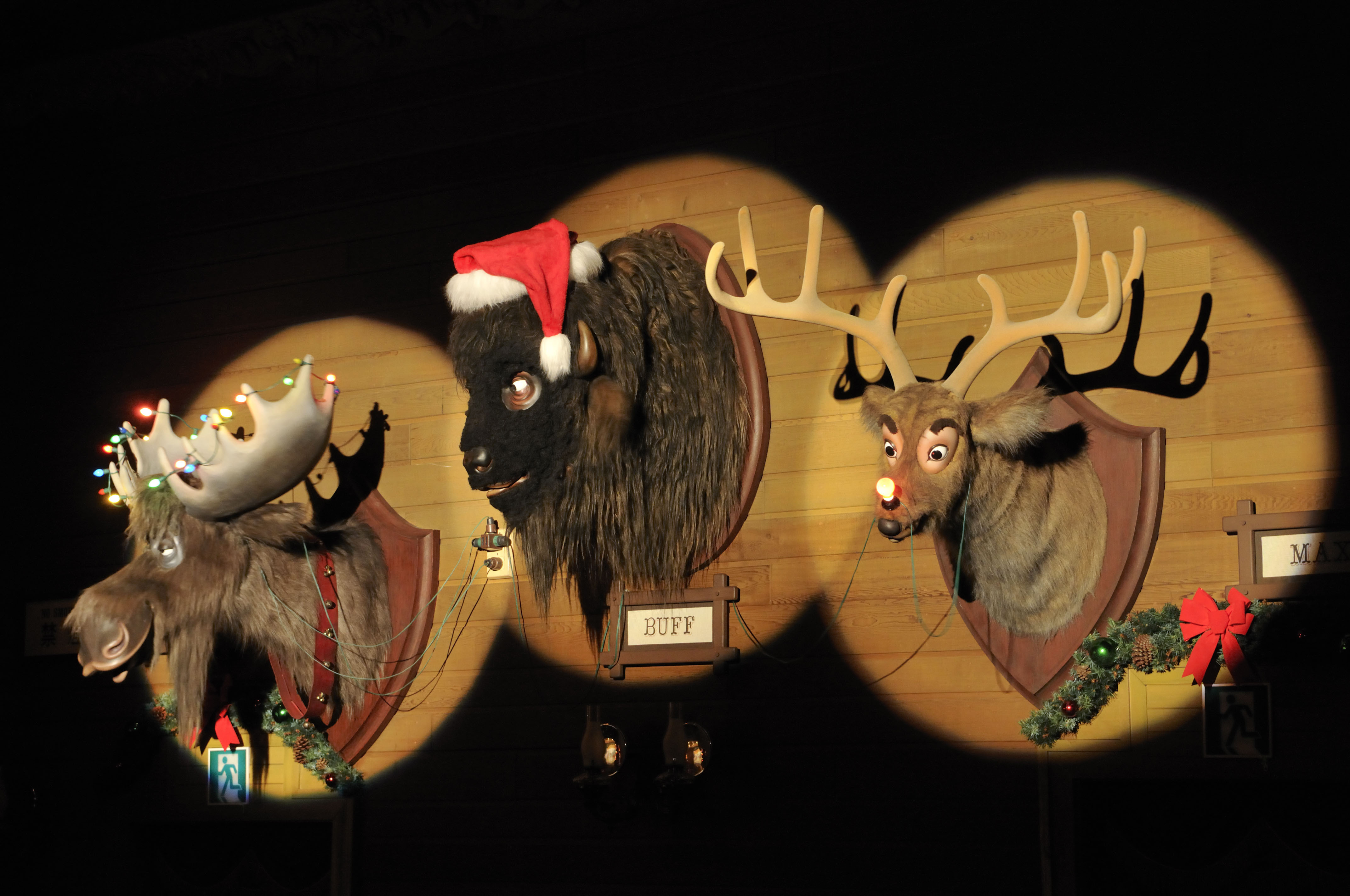 TDLクリスマス】家族連れで“アフター6”クリスマスを楽しみたい!「夜