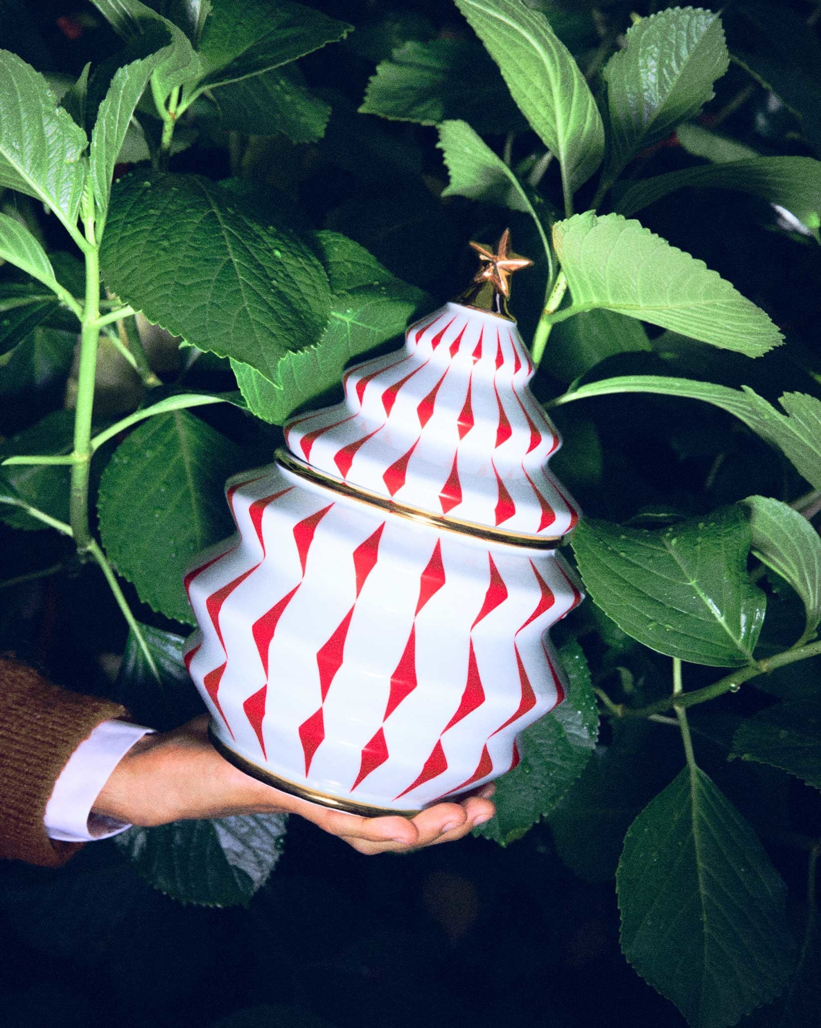 Delight Biscuit jar By Nika Zupanc | Alessi