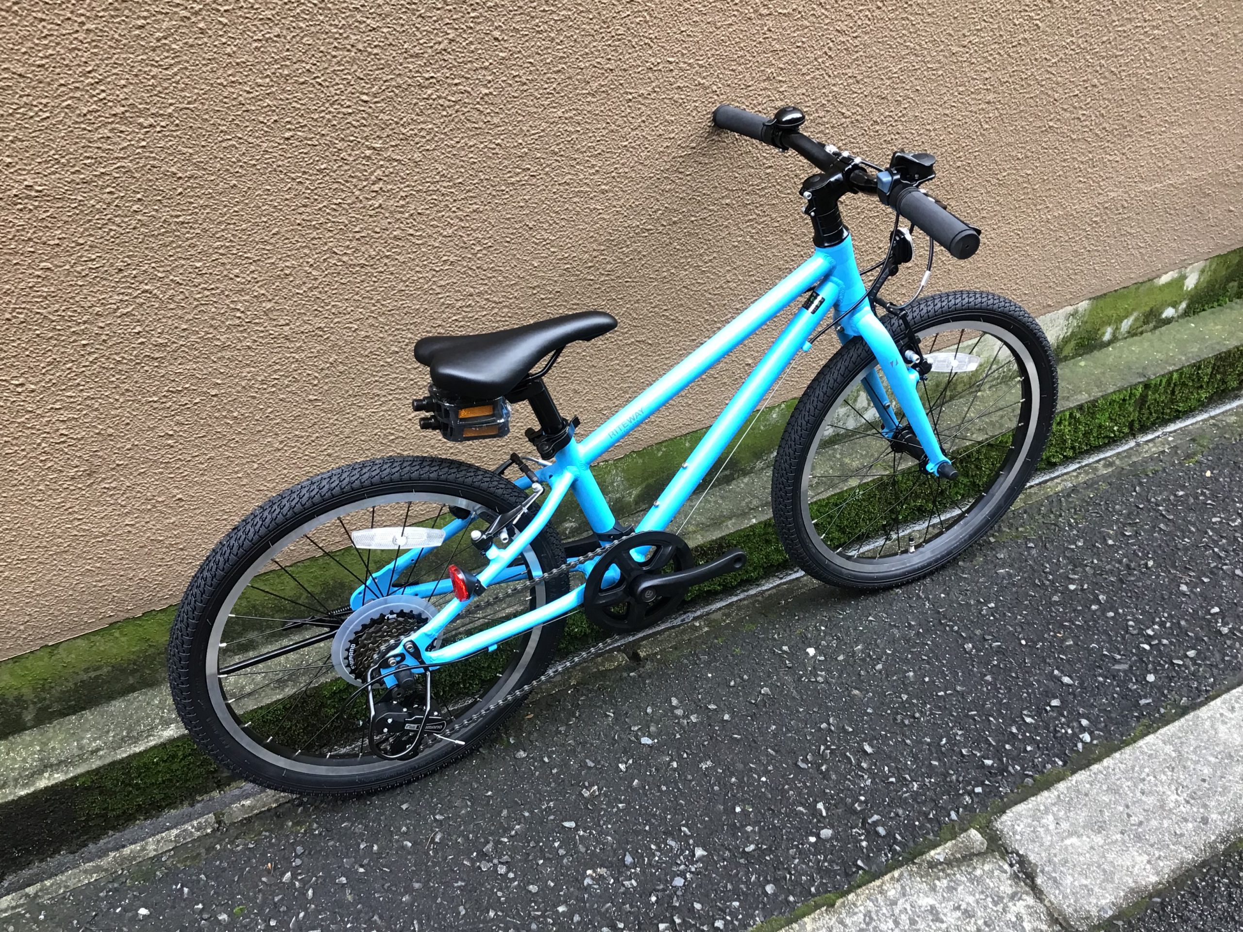 RITEWAY ZIT 20 キッズモデル スカイブルー | トモダサイクル 大阪
