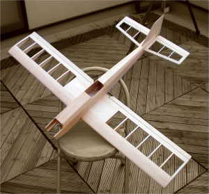 No62 テトラ サーカス10SR