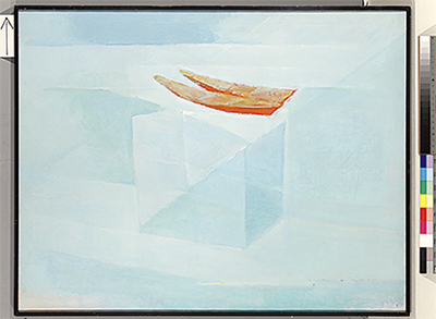 心揺さぶる田中岑展 6日から市民ミュージアムで | 中原区 | タウン