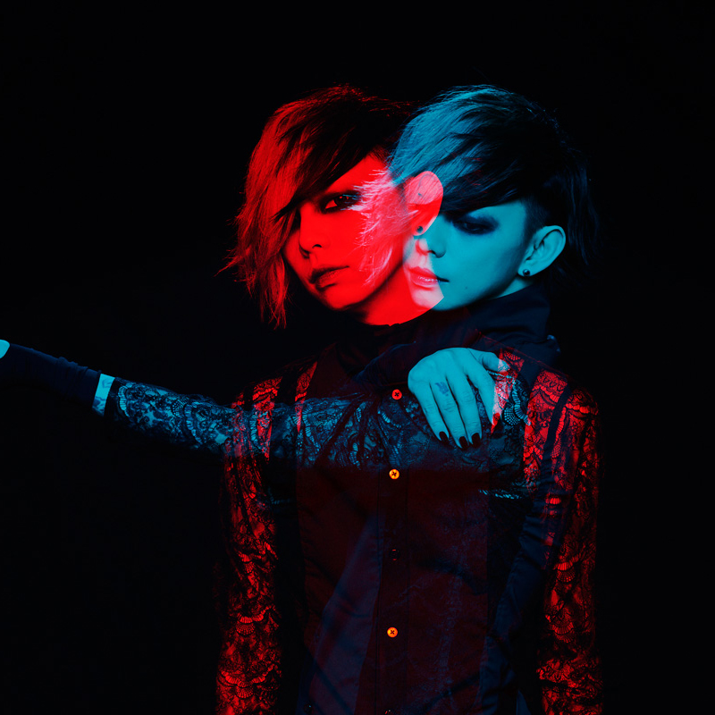 LiveLine Studio Series Cables