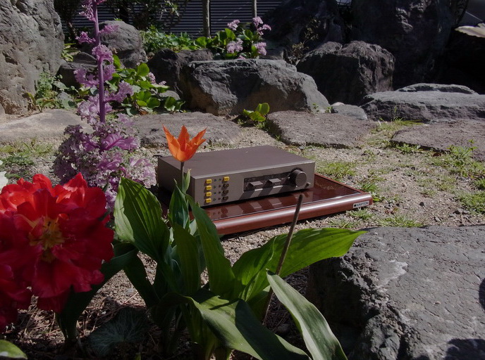 Ω QUAD 34 プリアンプ かえるなんて(・└◇┘・)けろけろけろけろ Ω