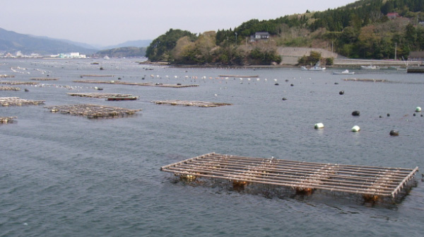 筏 | 製品カテゴリー | (株)宇崎日新（NISSIN）| 磯・船・渓流などの